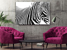 Čiernobiely obraz Zebra